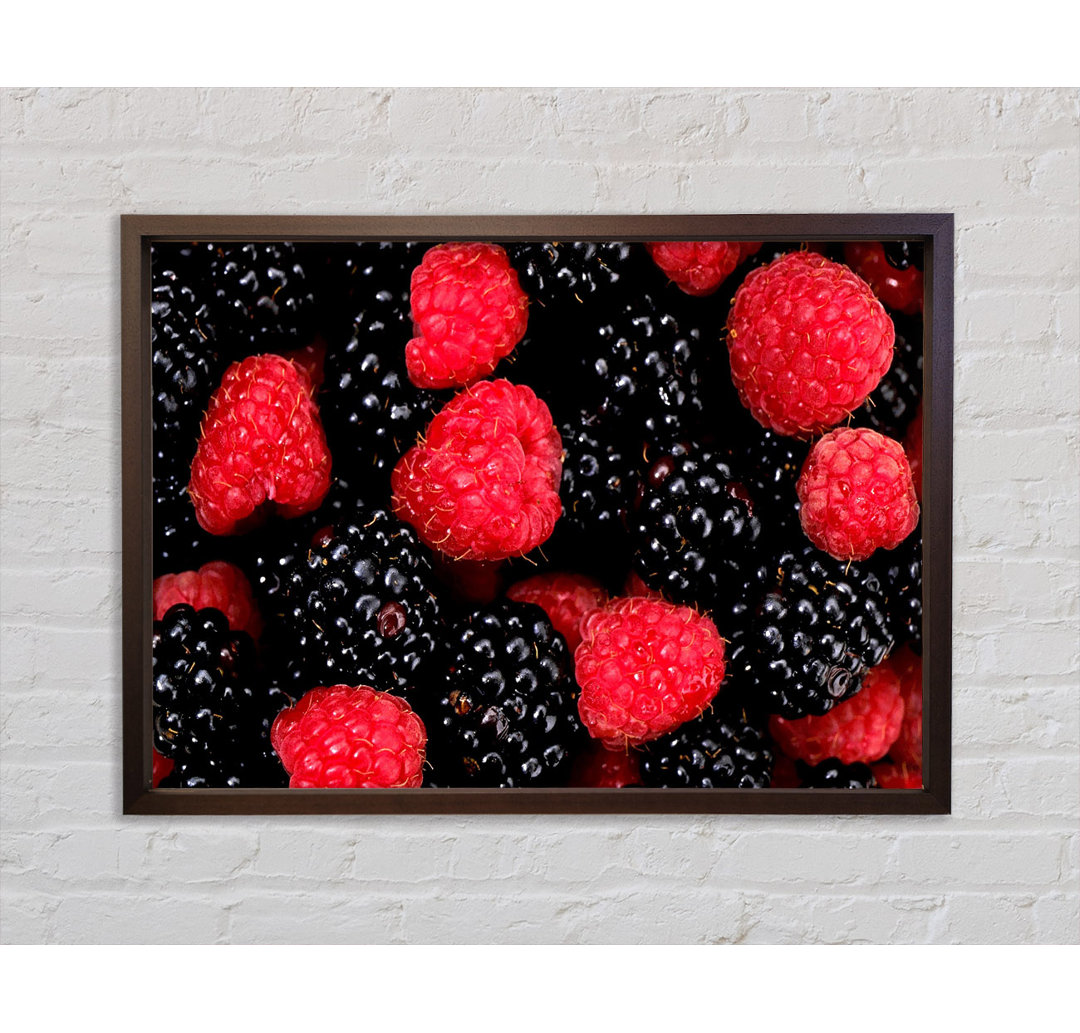 Himbeeren und Brombeeren - Einzelner Bilderrahmen Kunstdrucke auf Leinwand