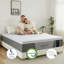 Matelas simple pour lit simple en mousse à mémoire de forme de 12 pouces avec ensemble de 2 coussins ergonomiques - mi-ferme - soulagement de la pression et soutien des bords-122496369