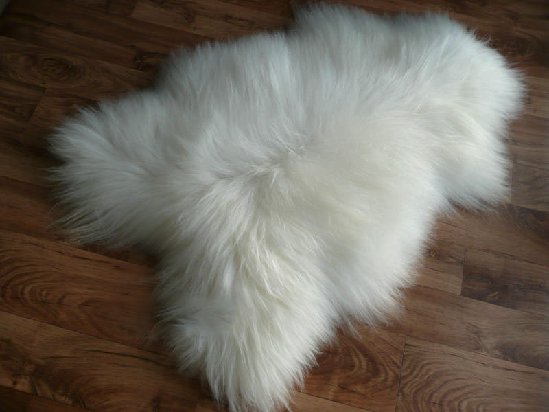 Huitt Wool Animal Print Indoor Rug