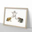 Illustrations of Toads by John Edward Gray - Picture Frame Painting Print-55576122-55576120