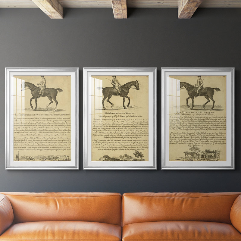 Horse Portraiture IV - Impression sur mesure encadrée de qualité supérieure - 3 pièces, H 27 po x l 39 po, Argent argent