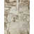 Ivory/Beige