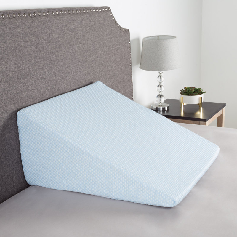 Oreiller extra-large Lavish Home, bleu