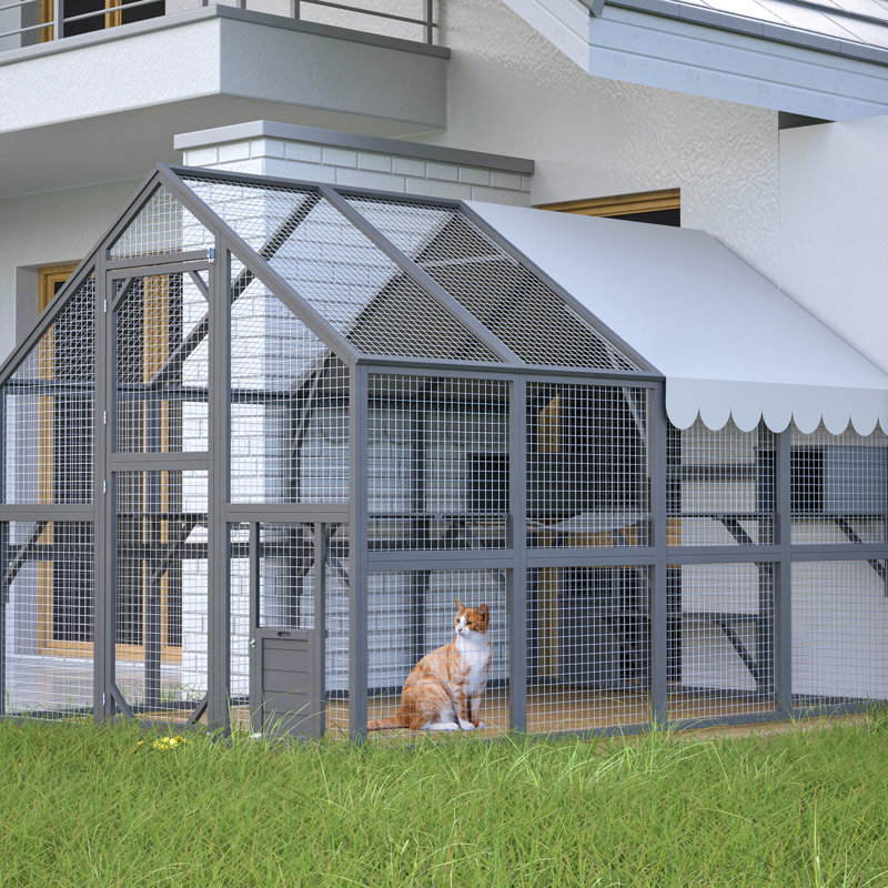 Enceinte d'extérieur luxueuse pour chat avec 2 ponts et des installations d'escalade pour chats