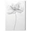 Décoration murale Flode Preciousness I par Art Remedy-118136082-118136084-118136085