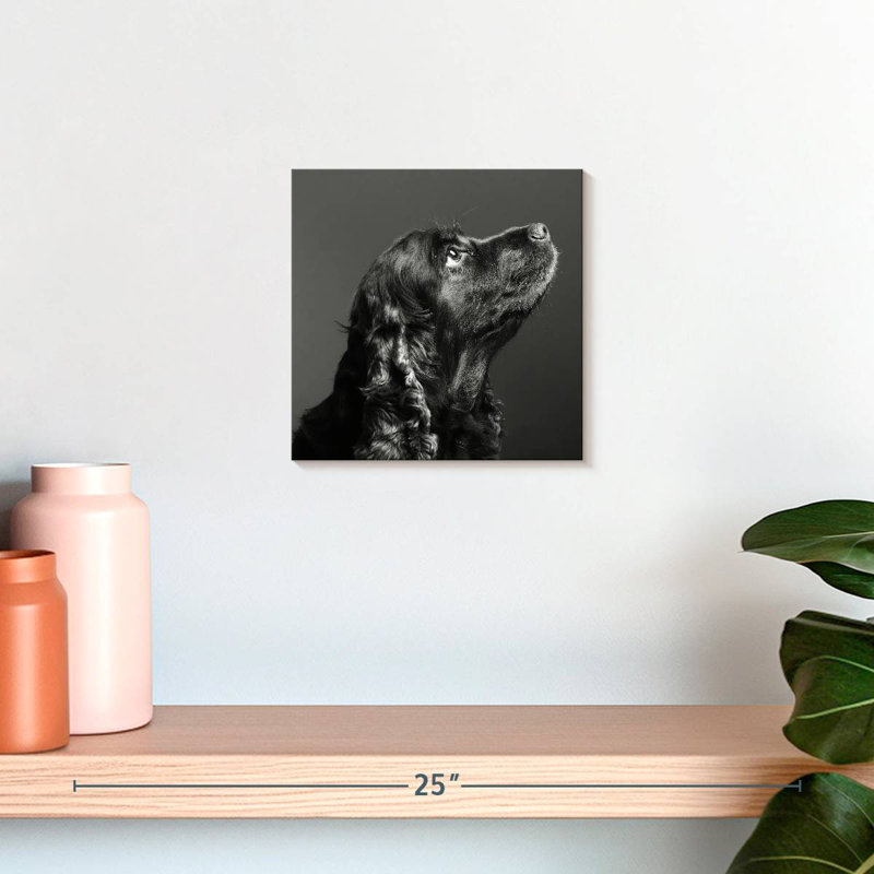 Brampt chien noir brillant, H 10 po x l 10 po