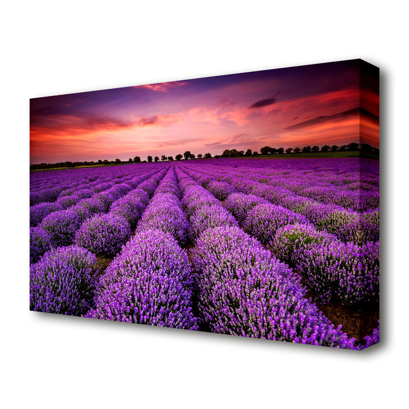 Lavender Fields Landscape - Wrapped Canvas Print, 70 cm H x 100 cm W, Canvas