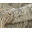 Bristol Geometric Area Rug in Ivory-260487720