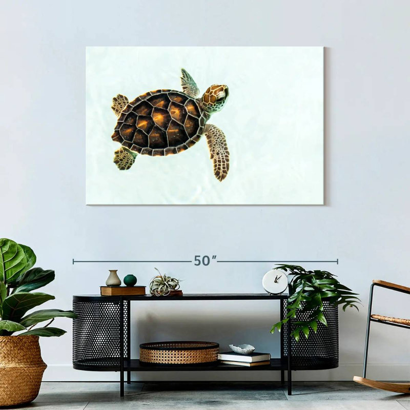 Bébé tortue Brampt, H 30 po x l 45 po