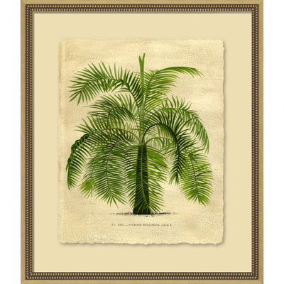 Island Palm II - peinture encadrée