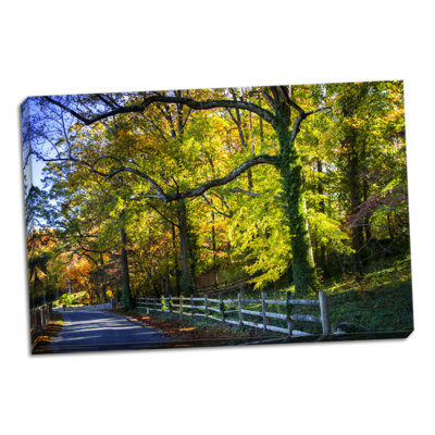 «Trees of Gold and Green II», reproduction de photo