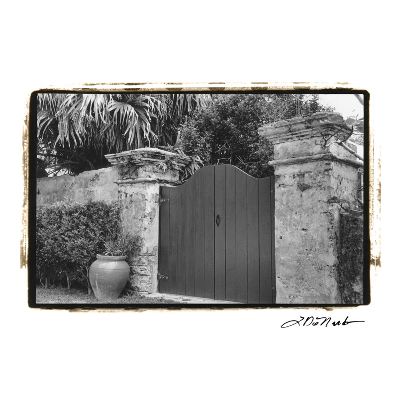Nouveau Floral Design II - Wrapped Canvas Print, 30cm H x 46cm W