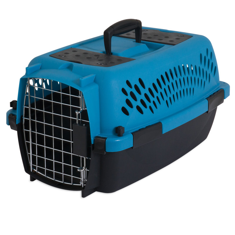 Plastic Pet Carrier with 1 Door, X- Small (10" H x 12.6" W x 19" D), Breeze / Black