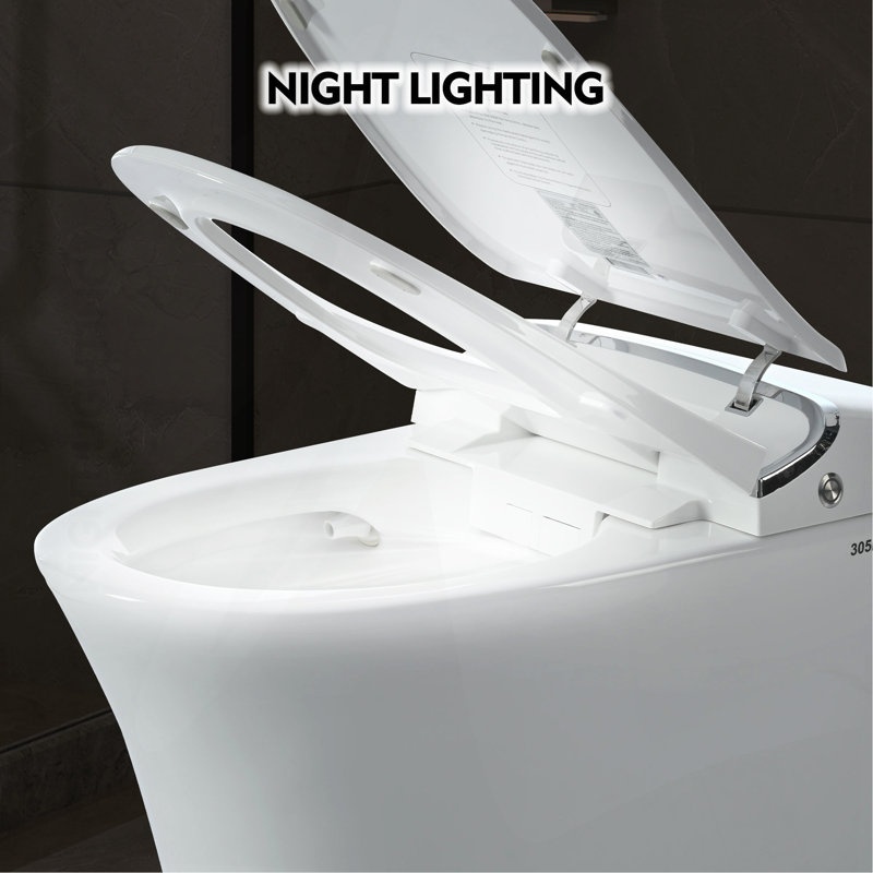 Luxury Smart Toilet With Dryer And Warm Water