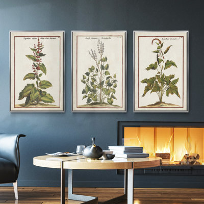 «Munting Botanicals IV», ensemble de 3 toiles encadrées