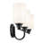 24.25" 3-Light Vanity Light with Glass-108202200-108202203