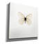 «Papillon blanc» par PhotoINC Studio-655522336