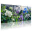 Plantes et fleurs, gouttes de pluie sur une scène de jardin, ensemble de 3 impressions sur toile-771044541