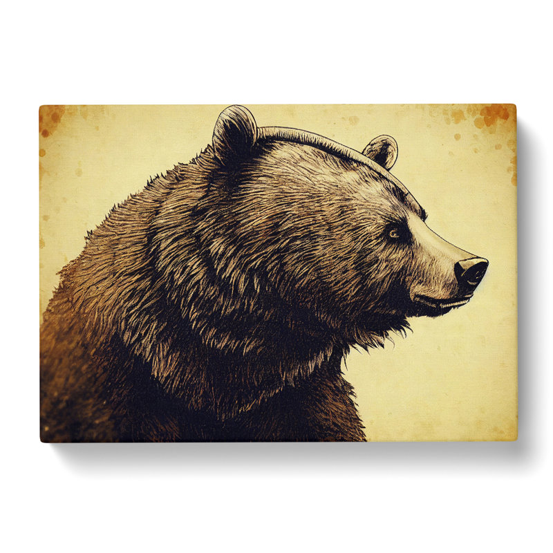 Glorious Bear - Wrapped Canvas, 35cm H x 50cm W x 3cm D