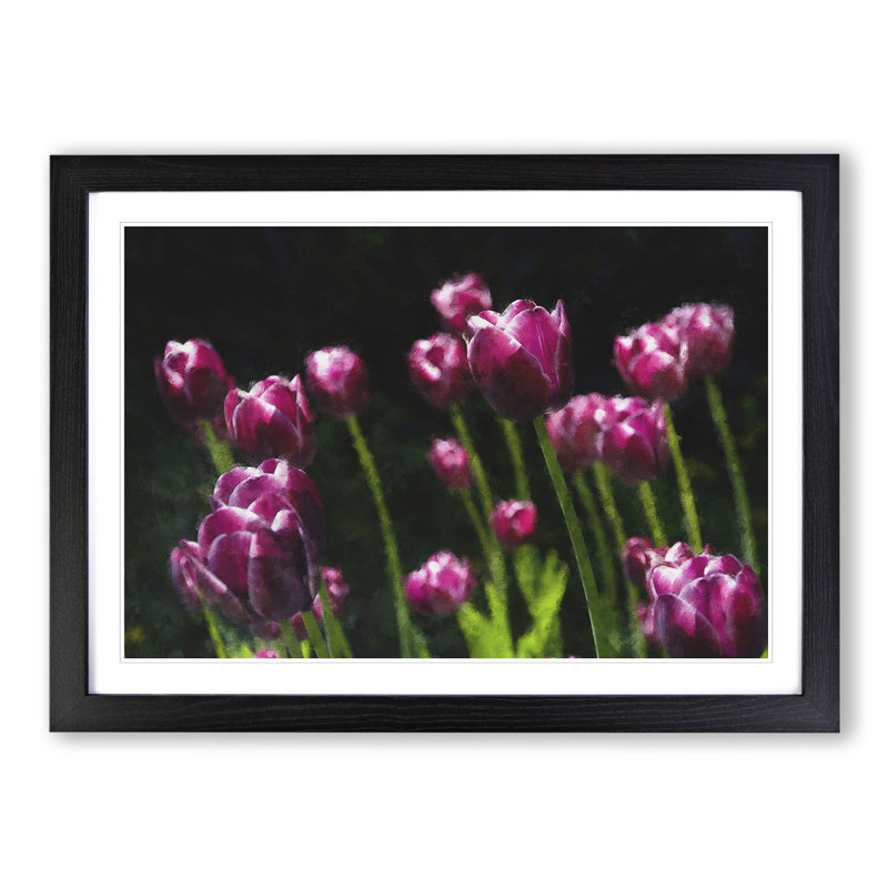Pink Tulip Flowers - Framed Print, 48cm H x 65cm W x 2cm D, Black Framed