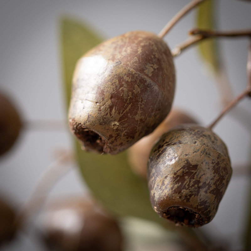 Vaporisateur d'eucalyptus 27 "artificiel 27"