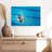 Sireci Synchronized Swimmers-108126907