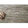 Murtaz Cowhide Area Rug in Silver