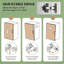 Armoire de rangement autoportante, armoire de rangement spacieuse, armoire de rangement pour garde-manger