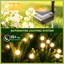 Plastic Solar Powered Pathway Light Pack