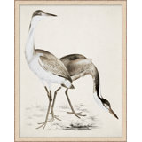 Coastal Bird Impression 1 Print