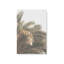 Impression sur toile Palm Grove Bliss-1169732224-1169732234