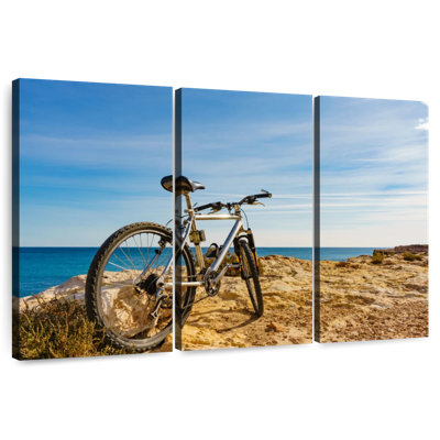 Mehar Black Beach Bike