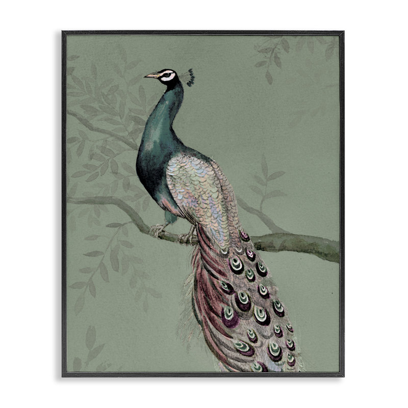  Regal Peacock on Branch Framed Giclee Art by Cloverfield & Co., H 14 po x l 11 po, Giclée encadrée noir minuit