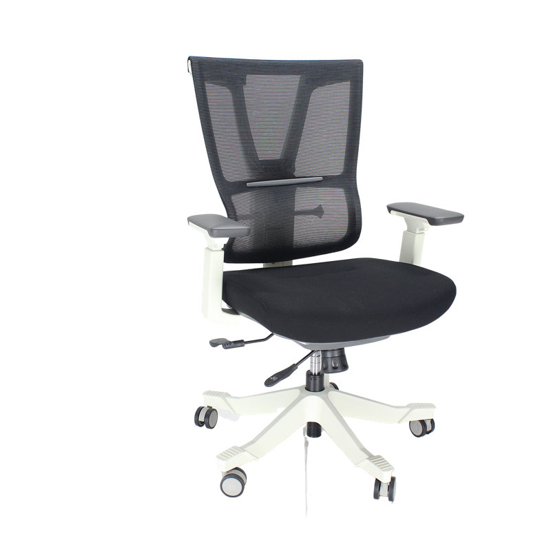  Moov Mesh Back Ergonomic Office Chair, Adjustable Arms & Back Support, Knee Tilt, Seat Slide, Black Fabric Seat and White Frame