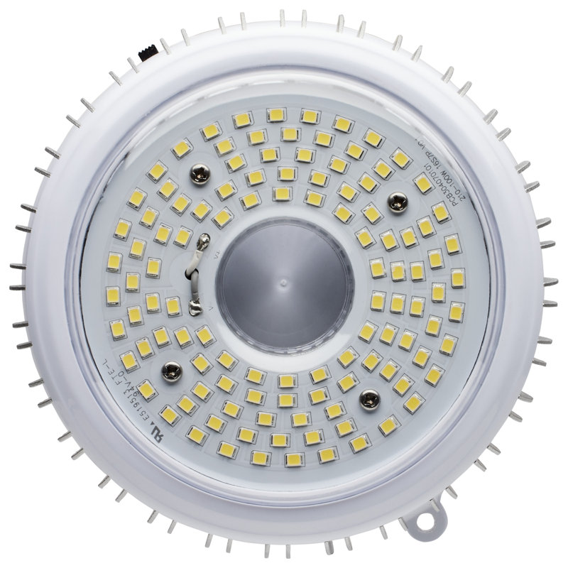 100 Watt White LED Bulb, 4000