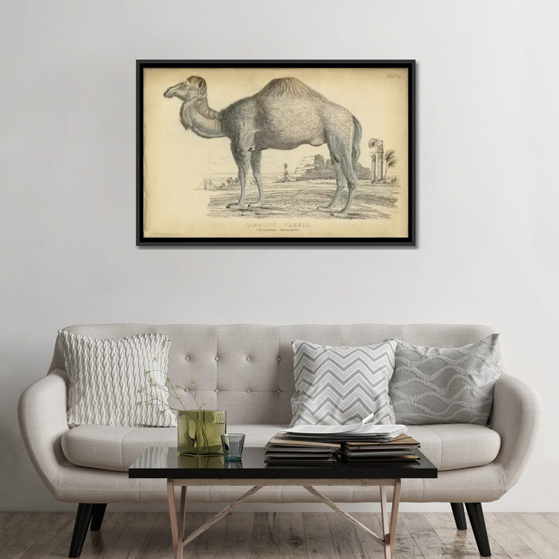 « mixte dromedary », reproduction sur toile, H 18 po x l 26 po x P 1,5 po, Toile avec cadre noir, Pas de tapis