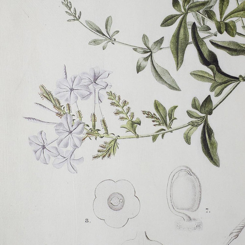Floral - Cadre photo sur toile