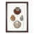 Walnut Framed
