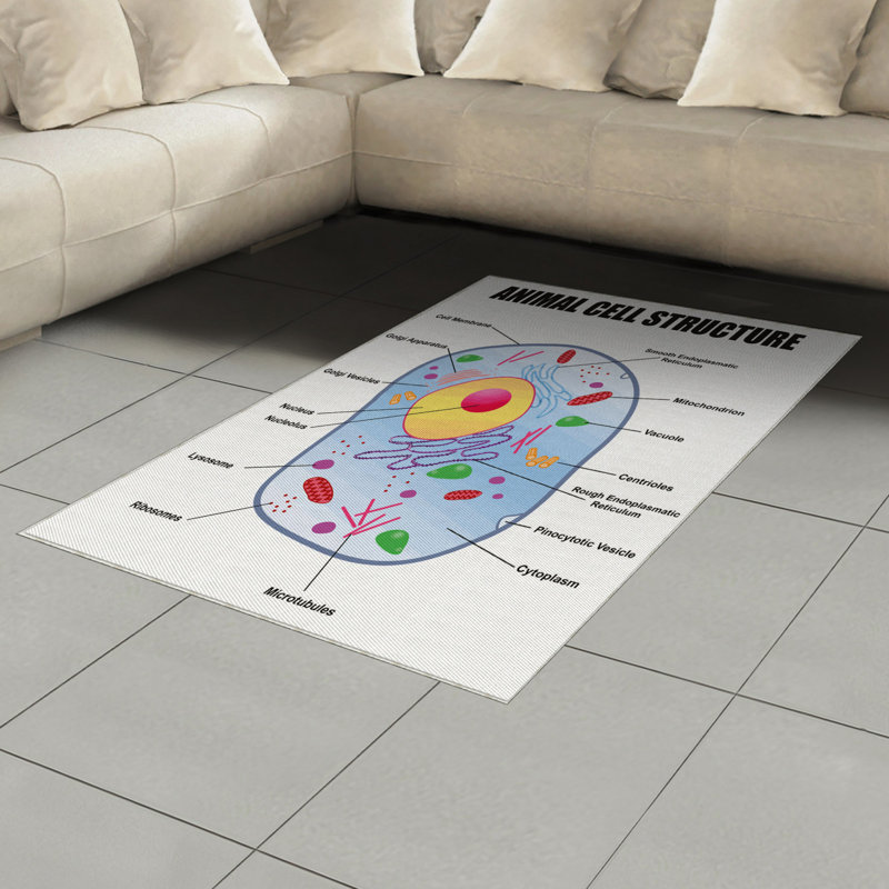 Tapis décoratif en fibre de polyester à haute densité, Rectangle 2 pi 7 po x 5 pi