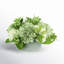 Hydrangeas with Berries Floral Arrangement
