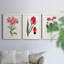 Roseat Blooms I - ensemble de 3 peintures sur toile encadrées-828588970-828588972