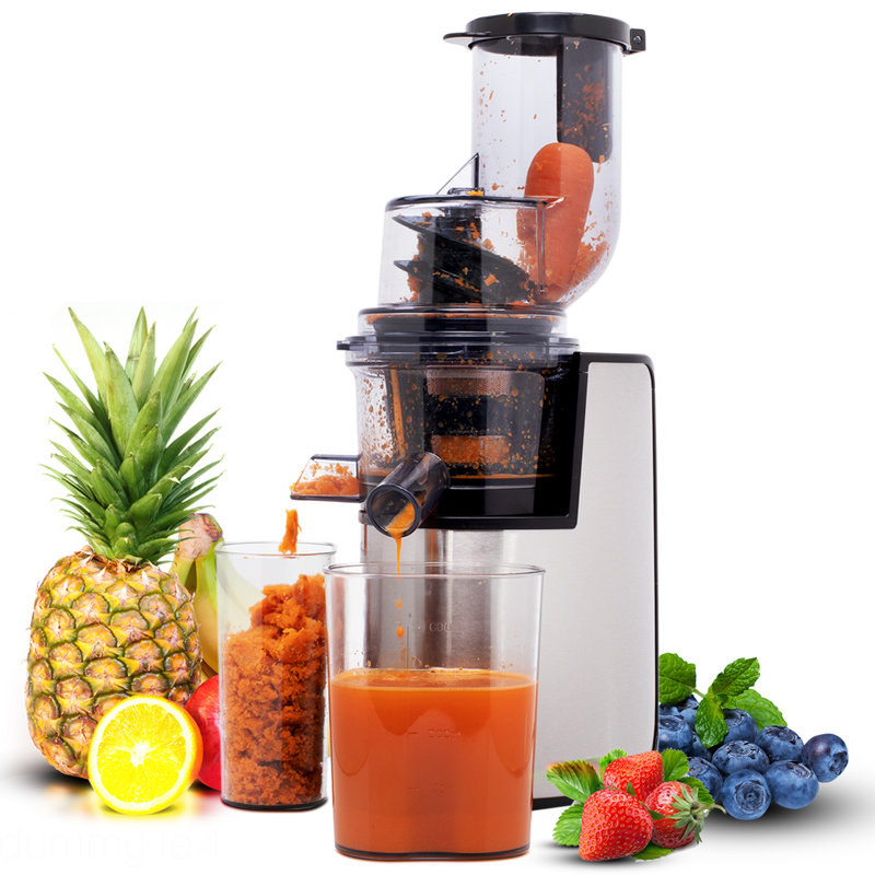 Geepas 200W Electric Slow Masticating & Cold Press Juicer