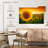 Harnek Sunset Sunflower-107678618