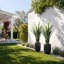Fausse plante d'agave en pot-1602638697-1602638699