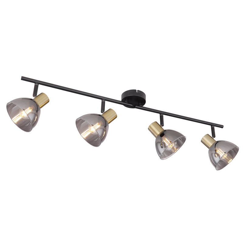 Shavano Glass Spotlight