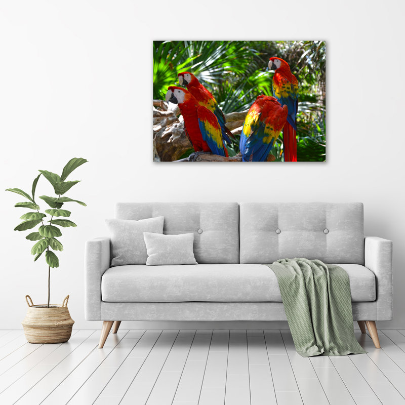 Macaw Parrots - Wrapped Canvas Print