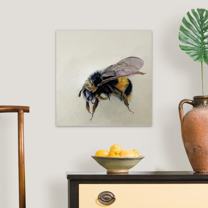 Bombus Terrestris 1 (B), 2008 - reproduction, Toile tendue, H 20 po x l 20 po x P 1,25 po