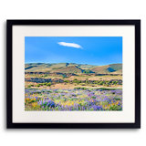 Columbia Hills Spring Bloom, Columbia River Gorge, Washington State Print by Bruce Heinemann
