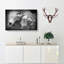 Two Snuggling Lions - Wrapped Canvas-55372048