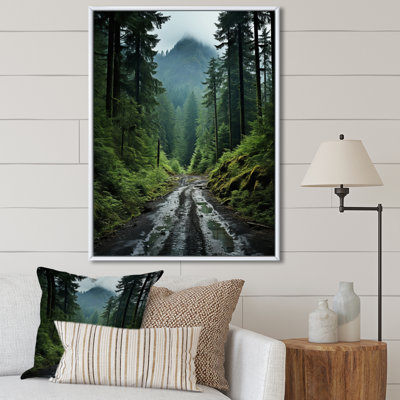 " USA Olympic National Forest Washington I "
